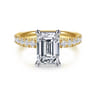 Winslow - 14K White-Yellow Gold Emerald Cut Diamond Engagement Ring - 0.35 ct