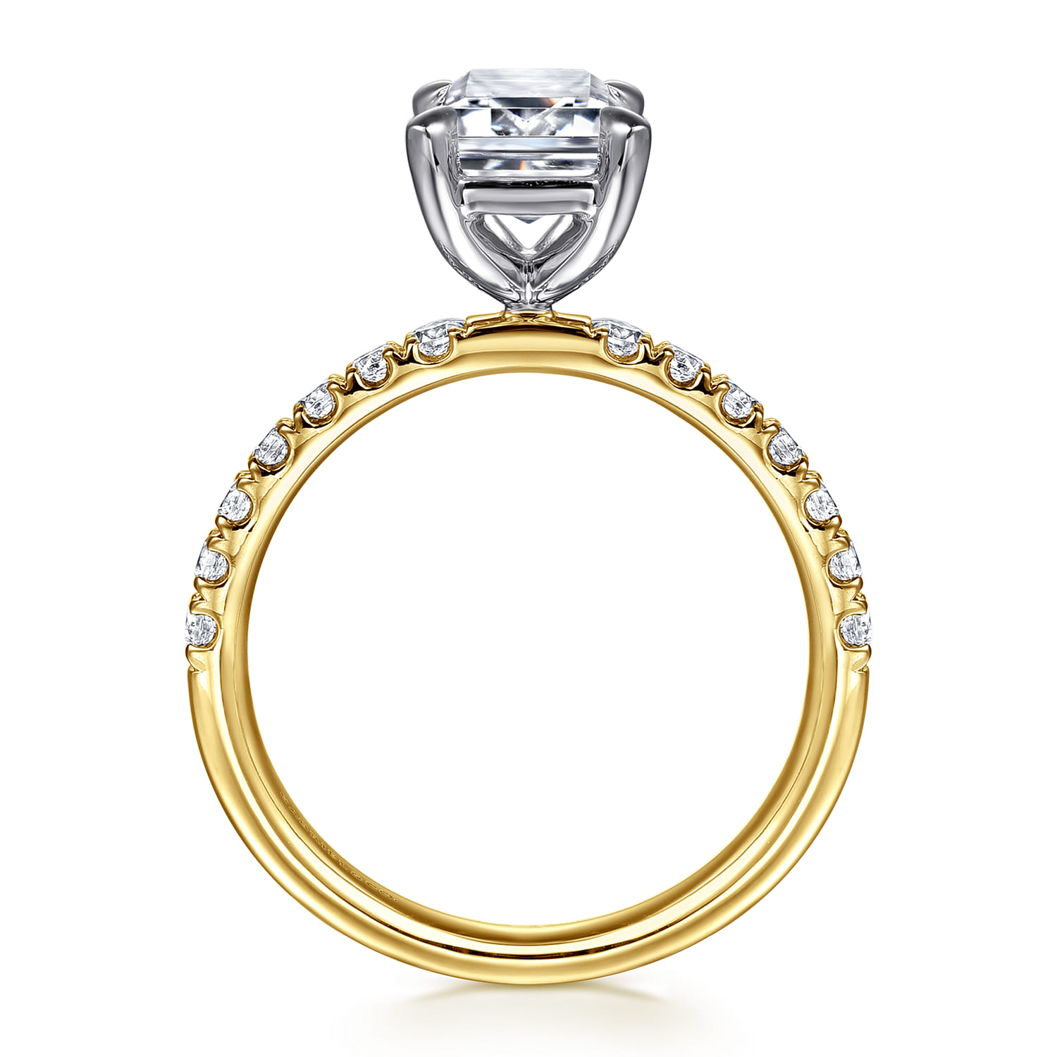Winslow - 14K White-Yellow Gold Emerald Cut Diamond Engagement Ring - 0.35 ct - Shot 2