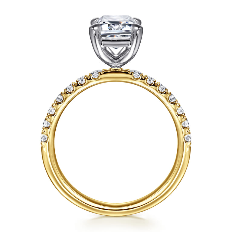 Winslow - 14K White-Yellow Gold Emerald Cut Diamond Engagement Ring - 0.35 ct - Shot 2