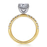 Winslow - 14K White-Yellow Gold Emerald Cut Diamond Engagement Ring - 0.35 ct