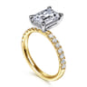Winslow - 14K White-Yellow Gold Emerald Cut Diamond Engagement Ring - 0.35 ct