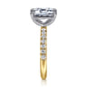 Winslow - 14K White-Yellow Gold Emerald Cut Diamond Engagement Ring - 0.35 ct