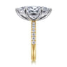 Winslow - 14K White-Yellow Gold Marquise Shape Diamond Engagement Ring - 0.35 ct