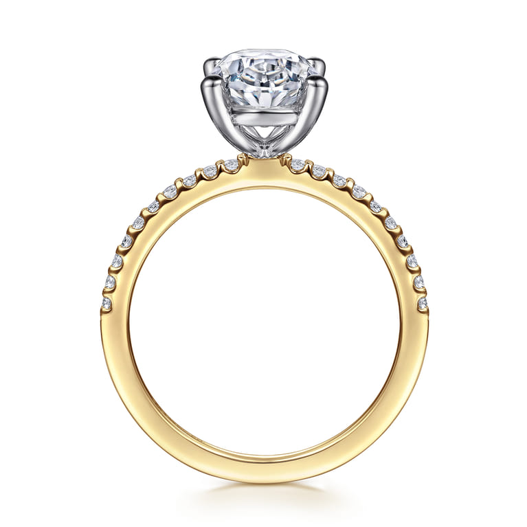 Amata - 14K White-Yellow Gold Oval Diamond Engagement Ring - 0.14 ct - Shot 2