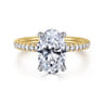 Stasia - 14K White-Yellow Gold Oval Diamond Engagement Ring - 0.3 ct