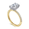Stasia - 14K White-Yellow Gold Oval Diamond Engagement Ring - 0.3 ct
