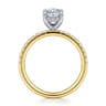 Stasia - 14K White-Yellow Gold Oval Diamond Engagement Ring - 0.3 ct