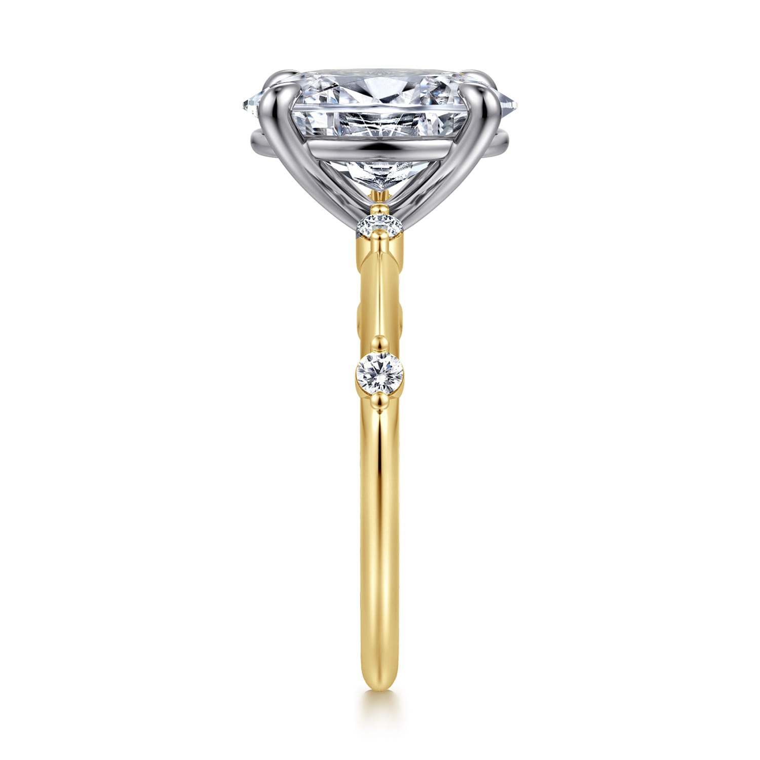 Frances - 14K White-Yellow Gold Oval Diamond Engagement Ring - 0.12 ct - Shot 4