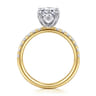 Winslow - 14K White-Yellow Gold Oval Diamond Engagement Ring - 0.38 ct
