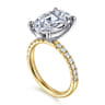 Winslow - 14K White-Yellow Gold Oval Diamond Engagement Ring - 0.35 ct