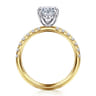 Winslow - 14K White-Yellow Gold Oval Diamond Engagement Ring - 0.35 ct