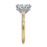 Carinna - 14K Yellow-White Gold Oval Diamond Engagement Ring - 0.23 ct