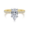 Stasia - 14K White-Yellow Gold Pear Shape Diamond Engagement Ring - 0.3 ct