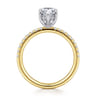 Stasia - 14K White-Yellow Gold Pear Shape Diamond Engagement Ring - 0.3 ct
