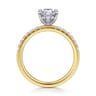 Carmellia - 14K White-Yellow Gold Pear Shape Diamond Engagement Ring - 0.25 ct