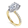 Winslow - 14K White-Yellow Gold Pear Shape Diamond Engagement Ring - 0.35 ct