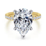 Winslow - 14K White-Yellow Gold Pear Shape Diamond Engagement Ring - 0.35 ct