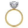 Winslow - 14K White-Yellow Gold Pear Shape Diamond Engagement Ring - 0.35 ct