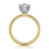 Winslow - 14K White-Yellow Gold Pear Shape Diamond Engagement Ring - 0.35 ct