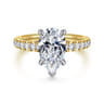 Aruba - 14K White-Yellow Gold Pear Shape Diamond Engagement Ring - 0.4 ct