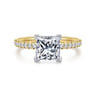 Stasia - 14K White-Yellow Gold Princess Cut Diamond Engagement Ring - 0.25 ct