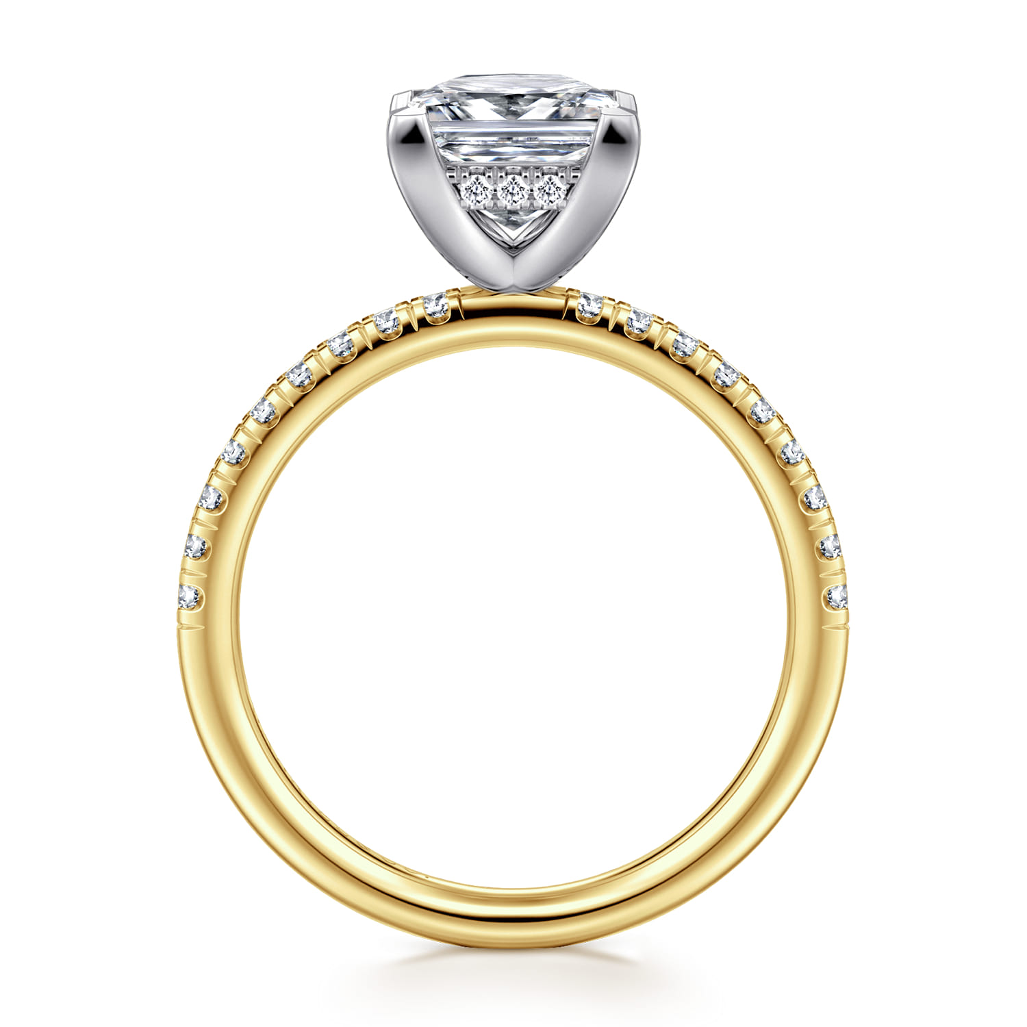 Stasia - 14K White-Yellow Gold Princess Cut Diamond Engagement Ring - 0.25 ct - Shot 2