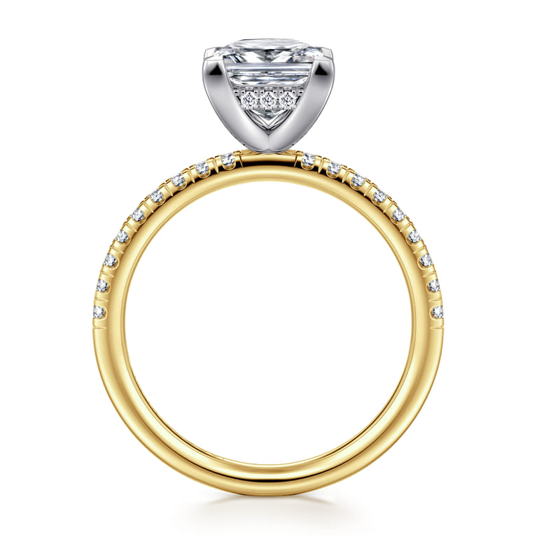 Stasia - 14K White-Yellow Gold Princess Cut Diamond Engagement Ring - 0.25 ct - Shot 2