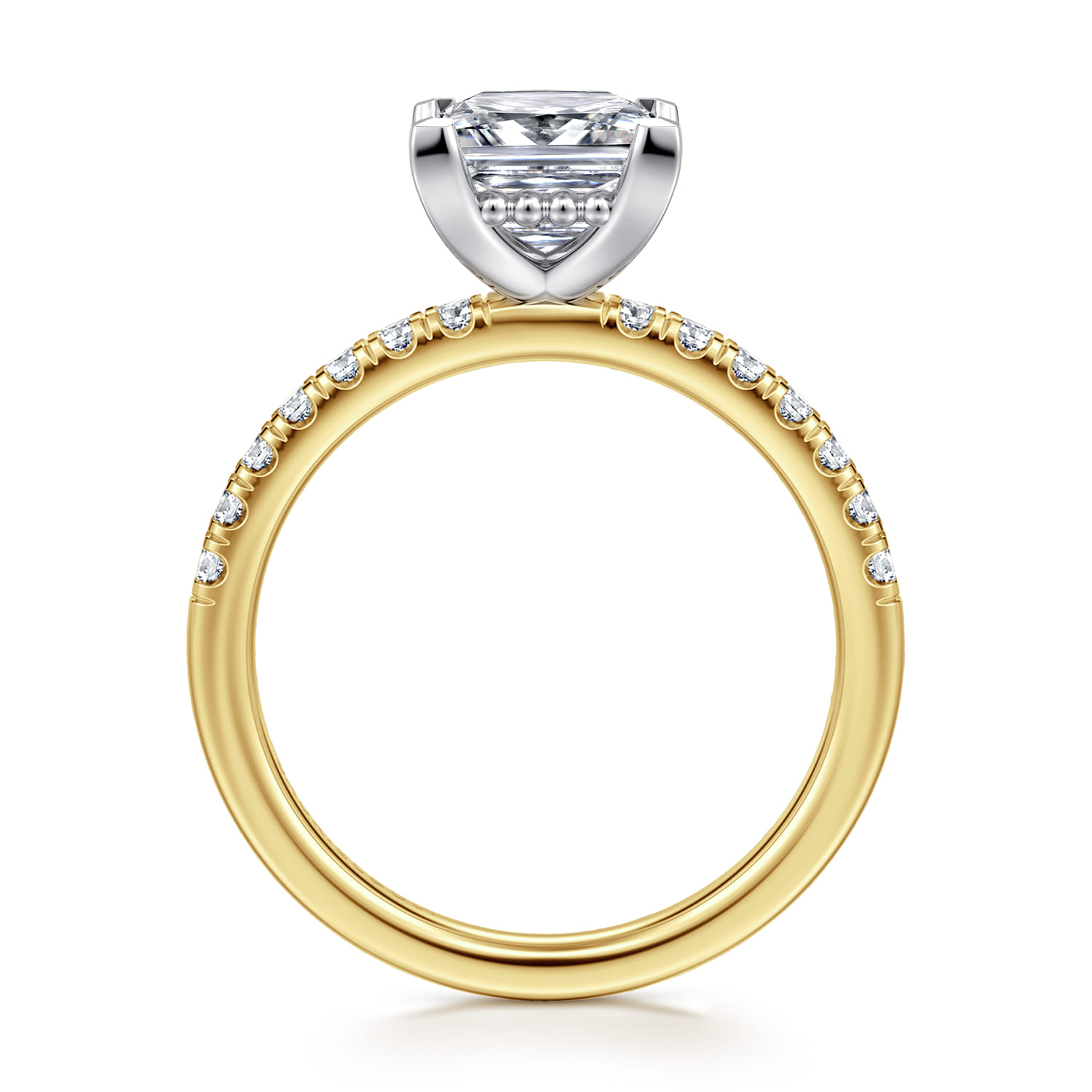 Carmellia - 14K White-Yellow Gold Princess Cut Diamond Engagement Ring - 0.25 ct - Shot 2