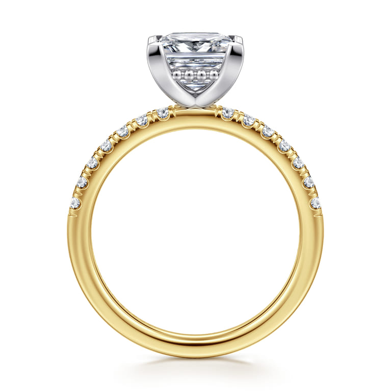 Carmellia - 14K White-Yellow Gold Princess Cut Diamond Engagement Ring - 0.25 ct - Shot 2