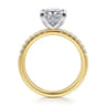 Carmellia - 14K White-Yellow Gold Princess Cut Diamond Engagement Ring - 0.25 ct