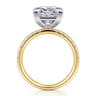 Winslow - 14K White-Yellow Gold Princess Cut Diamond Engagement Ring - 0.35 ct