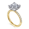 Winslow - 14K White-Yellow Gold Princess Cut Diamond Engagement Ring - 0.35 ct