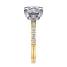 Winslow - 14K White-Yellow Gold Princess Cut Diamond Engagement Ring - 0.35 ct