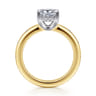 Cabata - 14K White-Yellow Gold Princess Cut Diamond Engagement Ring - 0.2 ct