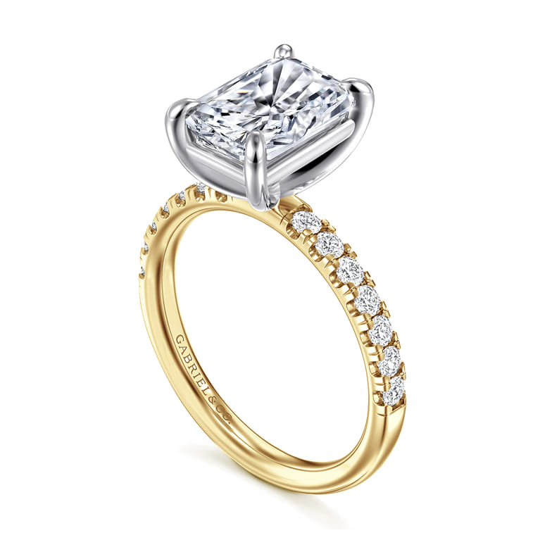 Winslow - 14K White-Yellow Gold Radiant Cut Diamond Engagement Ring - 0.35 ct - Shot 3