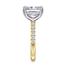 Winslow - 14K White-Yellow Gold Radiant Cut Diamond Engagement Ring - 0.35 ct