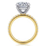 Amira - 14K White-Yellow Gold Round Diamond Engagement Ring - 0.6 ct