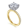 Amira - 14K White-Yellow Gold Round Diamond Engagement Ring - 0.6 ct