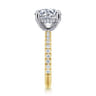 Amira - 14K White-Yellow Gold Round Diamond Engagement Ring - 0.6 ct