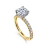 Amira - 14K White-Yellow Gold Hidden Halo Round Diamond Engagement Ring - 0.52 ct