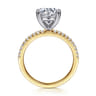 Amata - 14K White-Yellow Gold Round Diamond Engagement Ring - 0.15 ct
