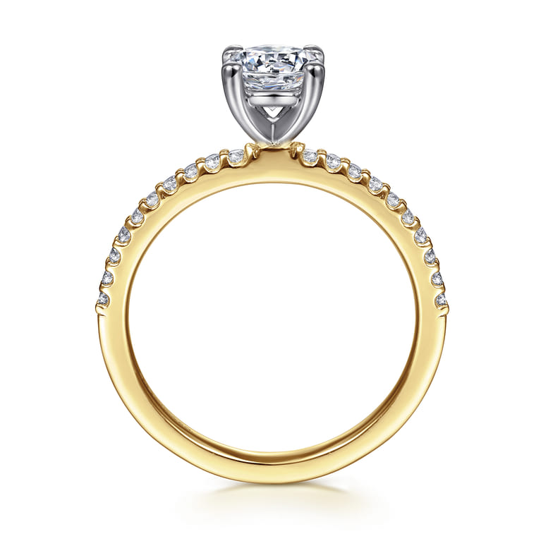 Amata - 14K White-Yellow Gold Round Diamond Engagement Ring - 0.15 ct - Shot 2