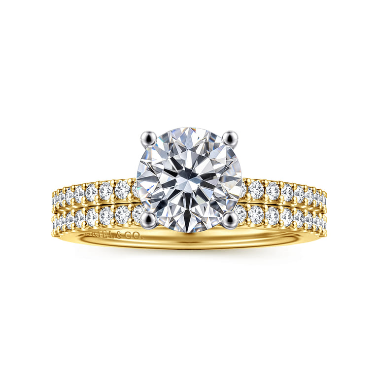 Amata - 14K White-Yellow Gold Round Diamond Engagement Ring - 0.14 ct - Shot 4