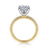 Amata - 14K White-Yellow Gold Round Diamond Engagement Ring - 0.14 ct
