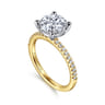 Amata - 14K White-Yellow Gold Round Diamond Engagement Ring - 0.14 ct