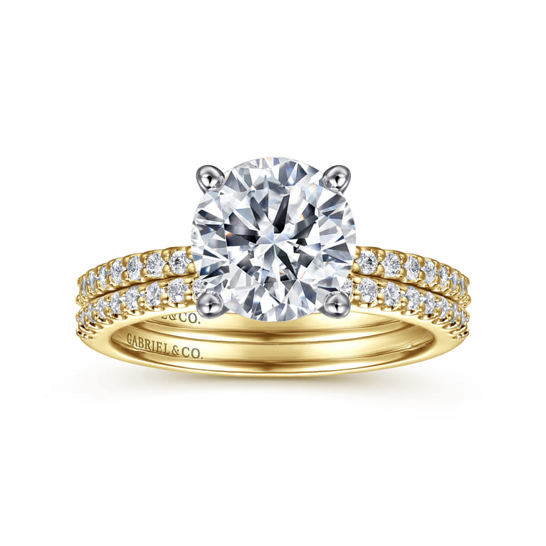 Amata - 14K White-Yellow Gold Round Diamond Engagement Ring - 0.14 ct - Shot 4