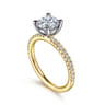 Evelyn - 14K White-Yellow Gold Round Diamond Engagement Ring - 0.18 ct