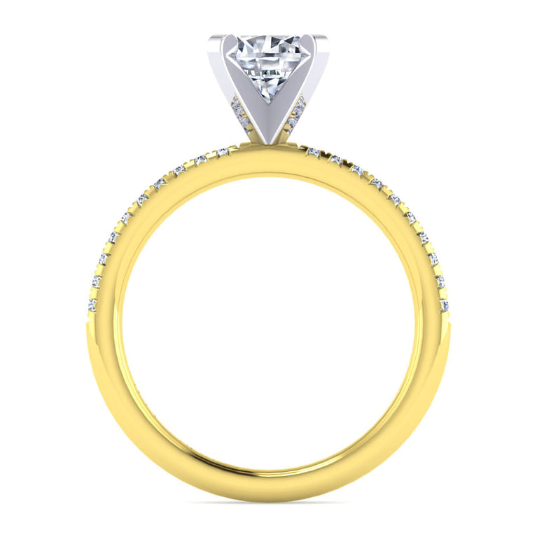 Emberlynn - 14K White-Yellow Gold Round Cut Diamond Engagement Ring - 0.15 ct - Shot 2