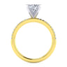 Emberlynn - 14K White-Yellow Gold Round Cut Diamond Engagement Ring - 0.15 ct