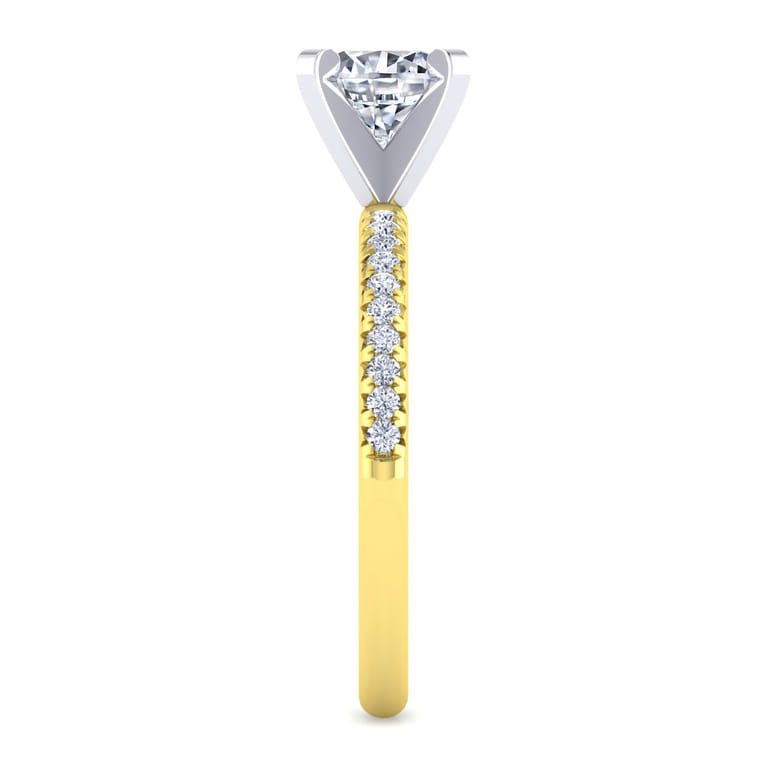 Emberlynn - 14K White-Yellow Gold Round Cut Diamond Engagement Ring - 0.15 ct - Shot 5